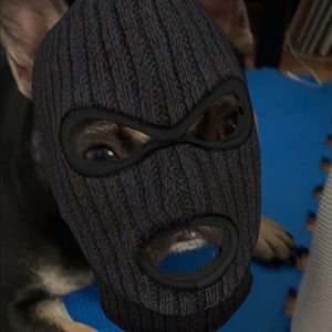 Meet your Posher, Jared